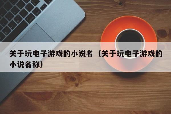 关于玩电子游戏的小说名（关于玩电子游戏的小说名称）