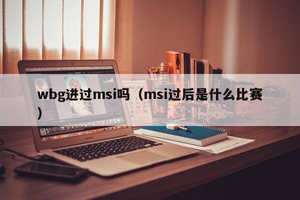 wbg进过msi吗（msi过后是什么比赛）