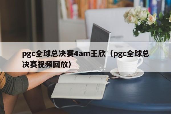 pgc全球总决赛4am王欣（pgc全球总决赛视频回放）