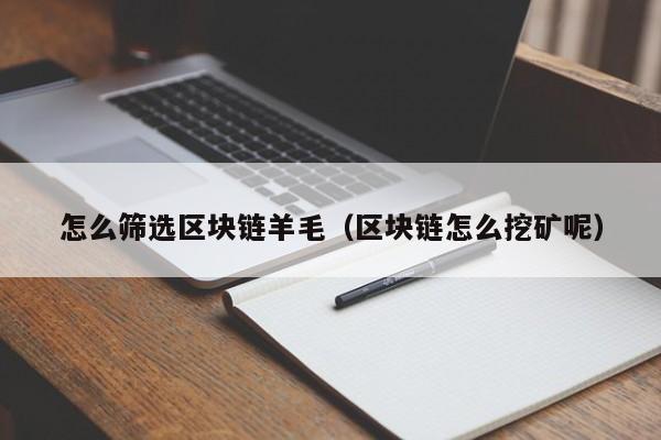 怎么筛选区块链羊毛（区块链怎么挖矿呢）