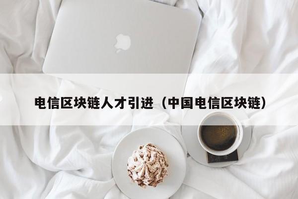 电信区块链人才引进（中国电信区块链）