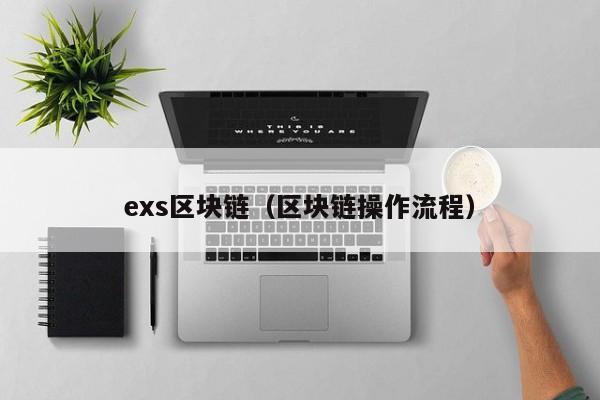 exs区块链（区块链操作流程）