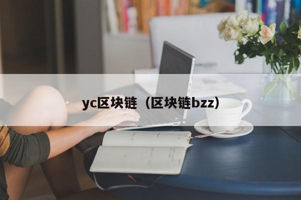 yc区块链（区块链bzz）