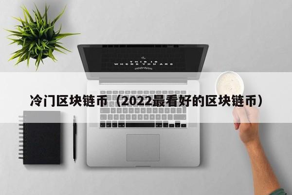 冷门区块链币（2022最看好的区块链币）