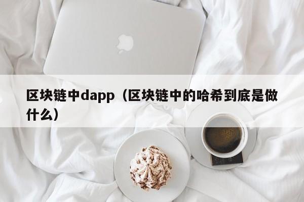 区块链中dapp（区块链中的哈希到底是做什么）