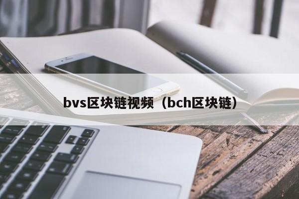 bvs区块链视频（bch区块链）