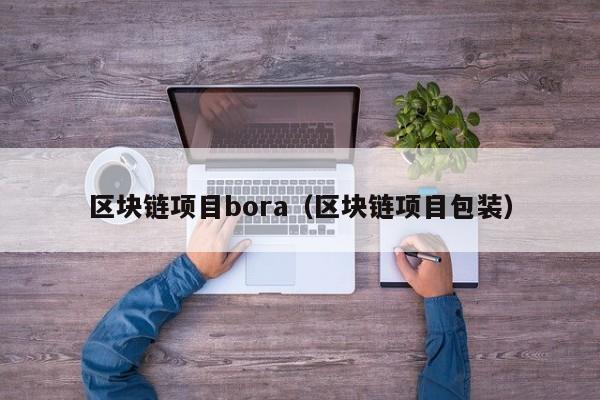 区块链项目bora（区块链项目包装）