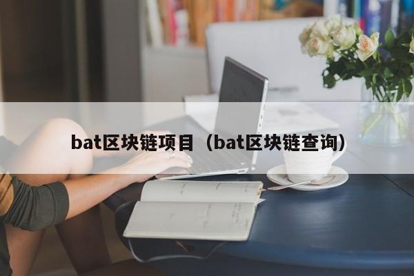 bat区块链项目（bat区块链查询）