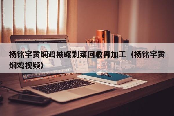 杨铭宇黄焖鸡被曝剩菜回收再加工（杨铭宇黄焖鸡视频）