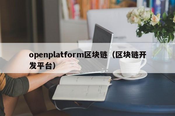 openplatform区块链（区块链开发平台）